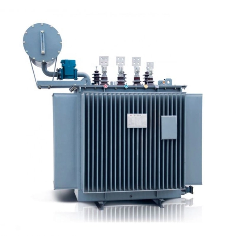 Oil-immersed transformer