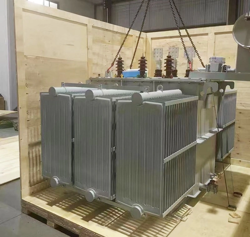 Oil-immersed transformers