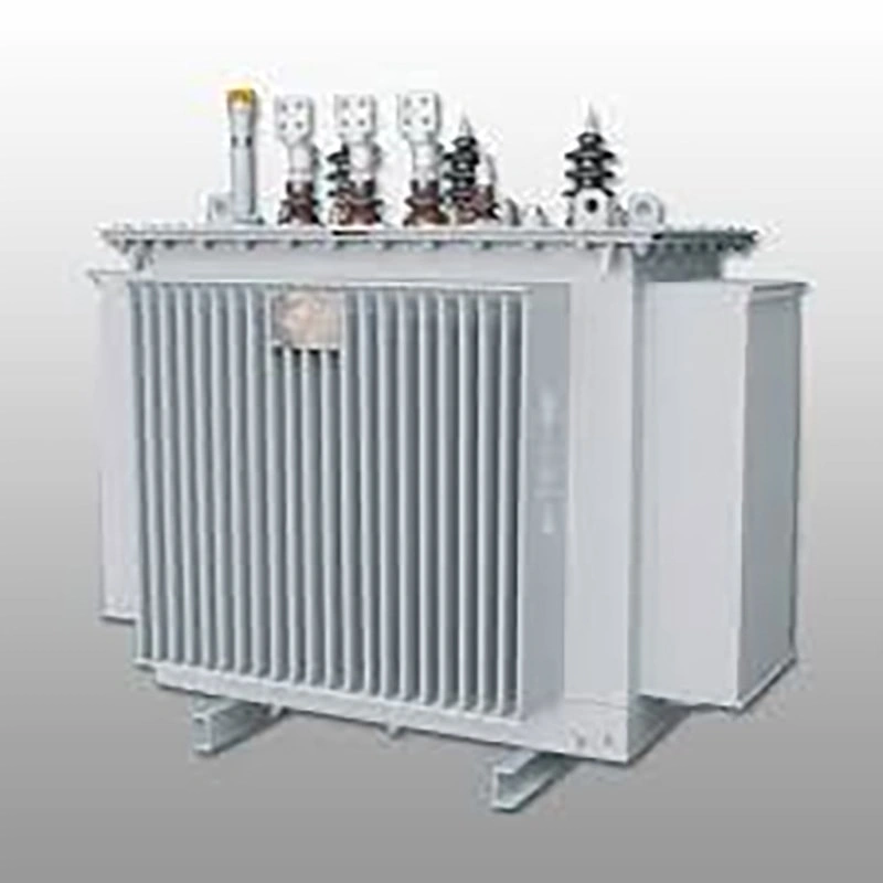 Oil-immersed transformer